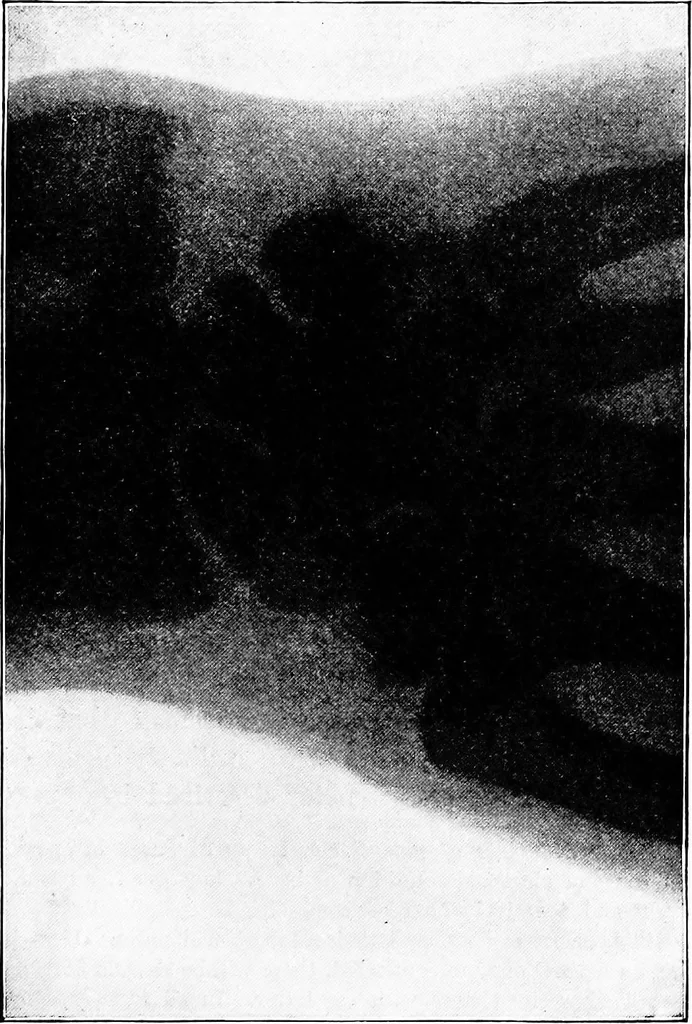An illustration from The outlines of physics: an elementary text-book, 1897, leaf 278