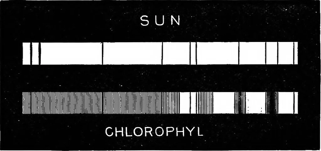 An illustration from The outlines of physics: an elementary text-book, 1897, leaf 404