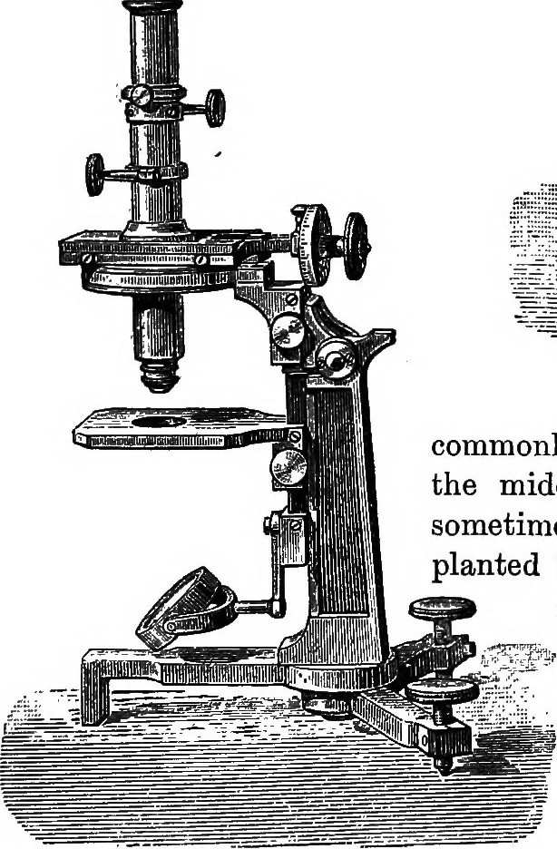 An illustration from The outlines of physics: an elementary text-book, 1897, leaf 448