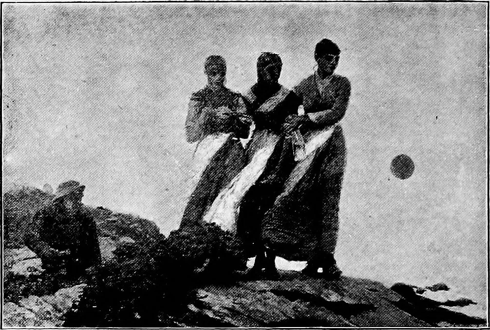 An illustration from Renaissance and modern art, 1894, leaf 291