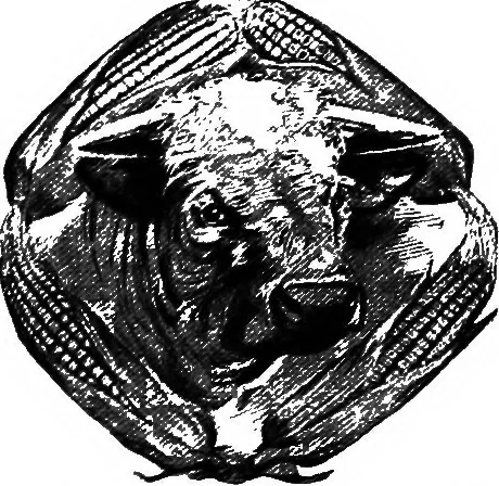 An illustration from Pushing your business : a textbook of advertising; giving practical advice on advertising for banks, trust companies, safe deposit companies, investment brokers, real estate dealers, insurance agents and all interested in promoting their business by judicious advertising, 1911, leaf 17
