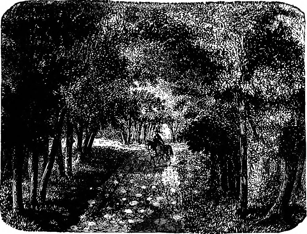 An illustration from Elementary physics, 1889, leaf 94