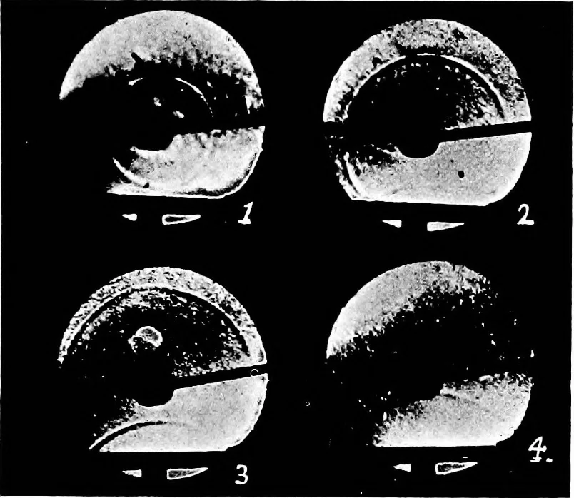 An illustration from A text-book of physics : with sections on the application of physics to physiology and medicine, 1902, leaf 166