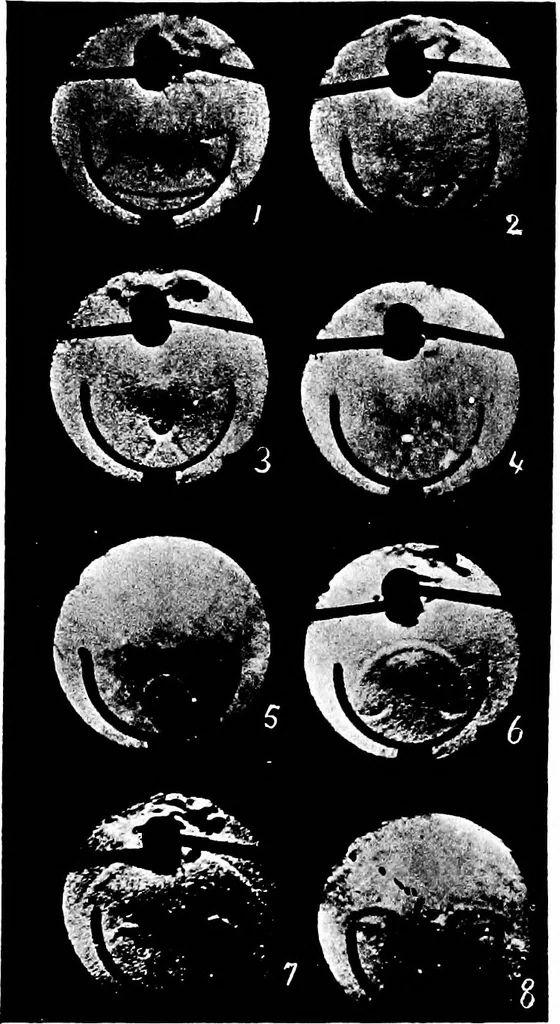 An illustration from A text-book of physics : with sections on the application of physics to physiology and medicine, 1902, leaf 167