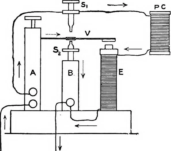 An illustration from A text-book of physics : with sections on the application of physics to physiology and medicine, 1902, leaf 256