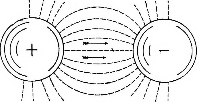 An illustration from A text-book of physics : with sections on the application of physics to physiology and medicine, 1902, leaf 262