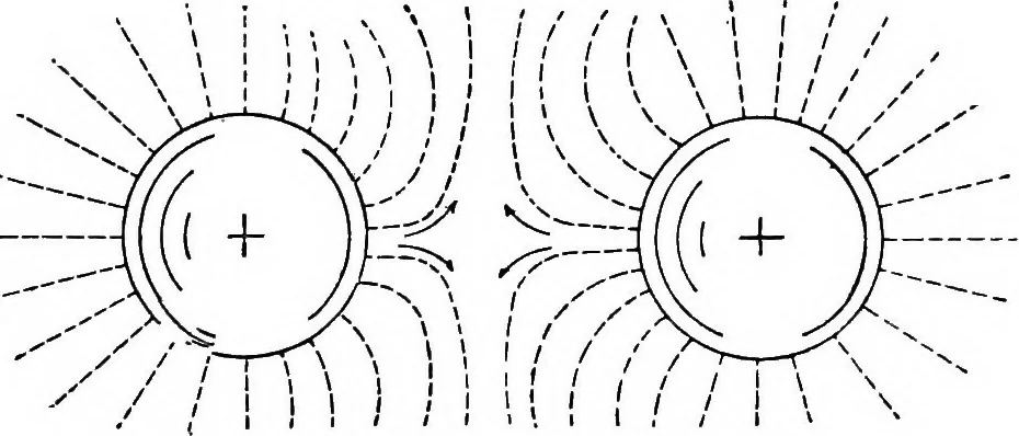 An illustration from A text-book of physics : with sections on the application of physics to physiology and medicine, 1902, leaf 262