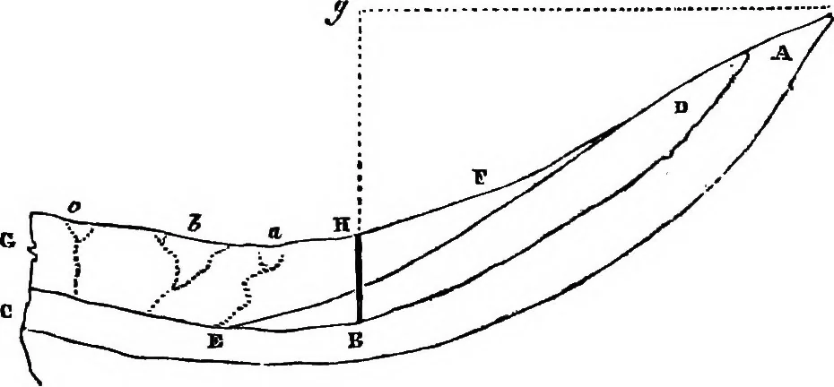 An illustration from The principles of hydrostatics; an elementary treatise on the laws of fluids, and their practical applications, 1856, leaf 69
