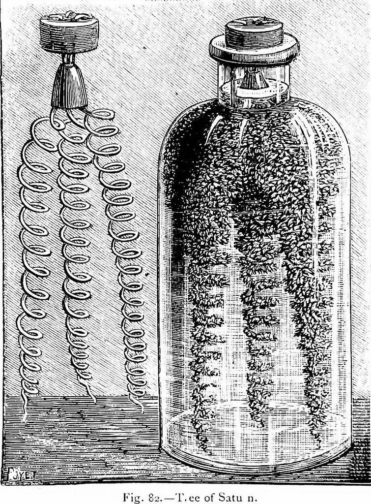 An illustration from Scientific amusements, 1890, leaf 117