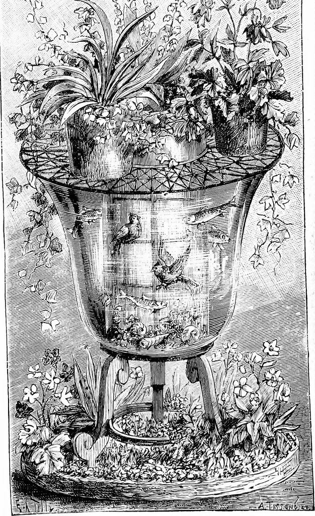 An illustration from Scientific amusements, 1890, leaf 131