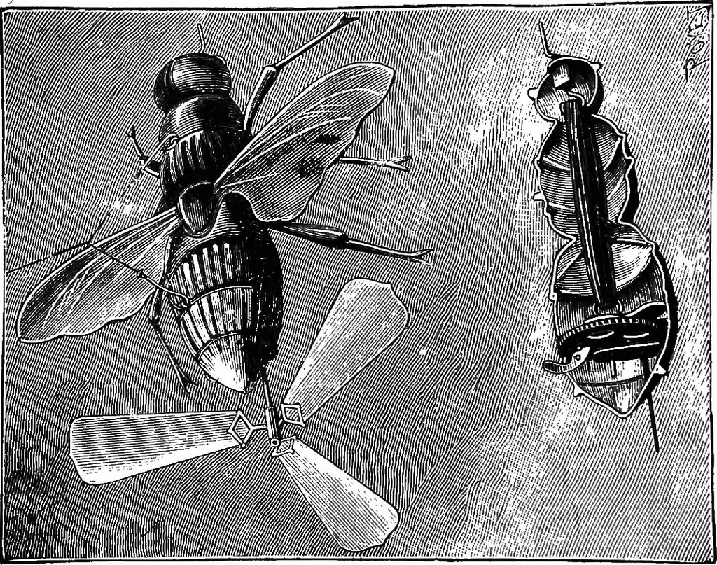 An illustration from Scientific amusements, 1890, leaf 153