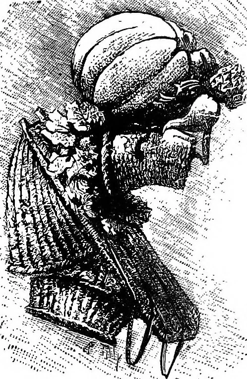 An illustration from Scientific amusements, 1890, leaf 156