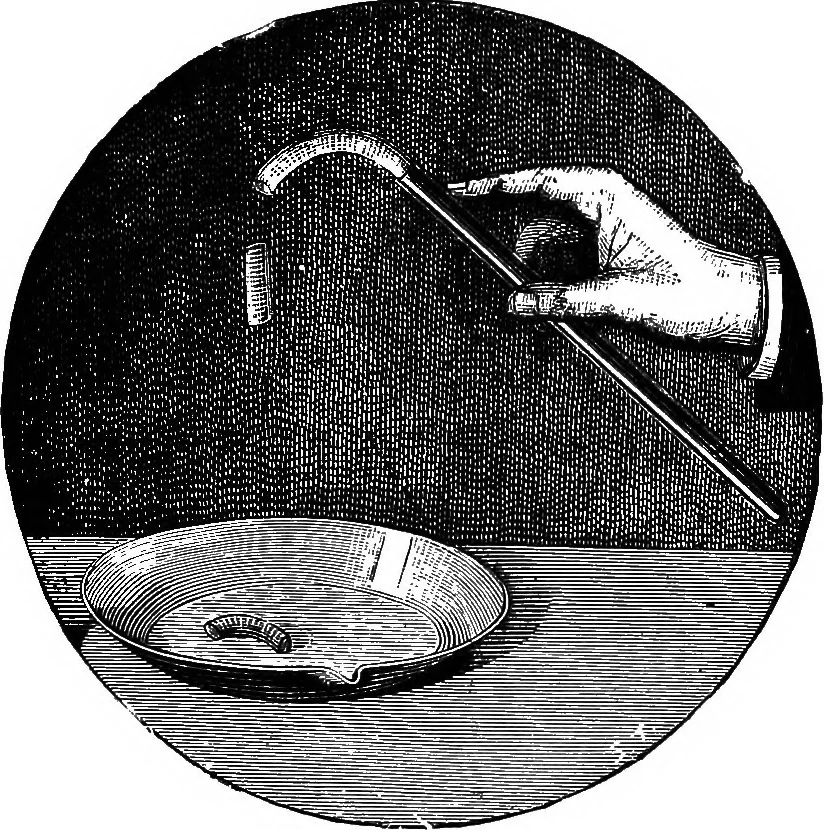 An illustration from Scientific amusements, 1890, leaf 178
