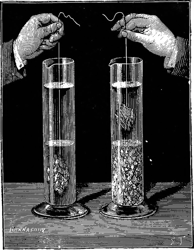 An illustration from Scientific amusements, 1890, leaf 186