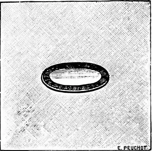 An illustration from Scientific amusements, 1890, leaf 19