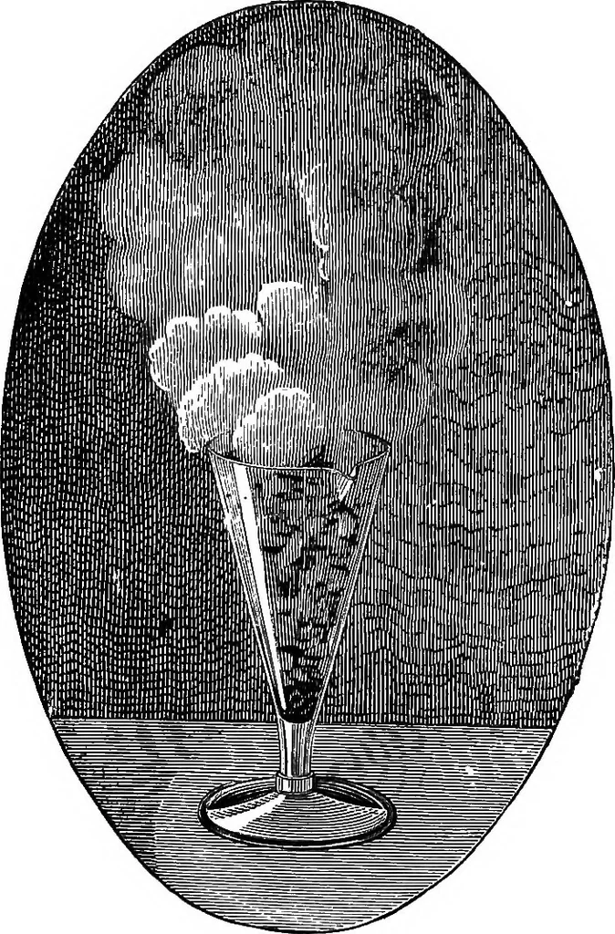 An illustration from Scientific amusements, 1890, leaf 192