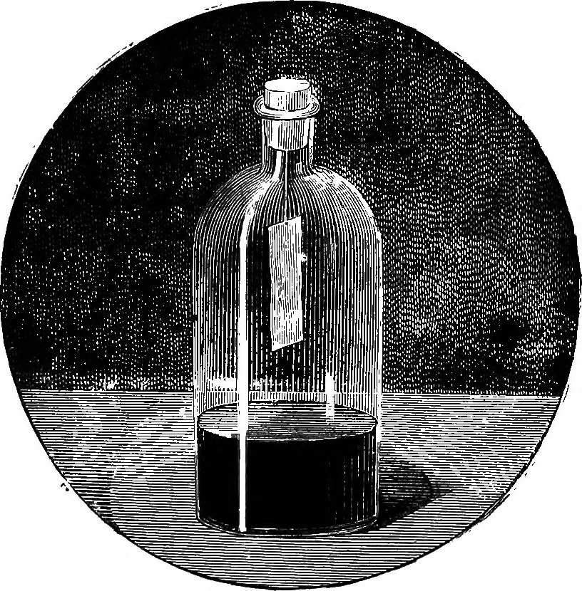 An illustration from Scientific amusements, 1890, leaf 198