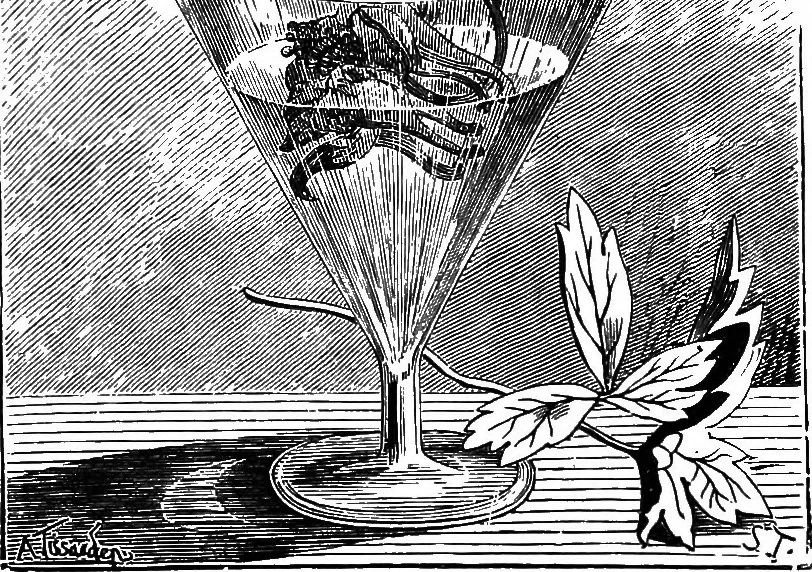 An illustration from Scientific amusements, 1890, leaf 201