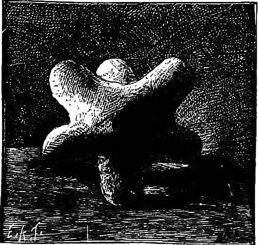 An illustration from Scientific amusements, 1890, leaf 21