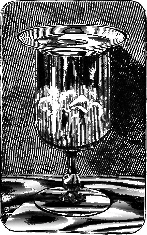 An illustration from Scientific amusements, 1890, leaf 211