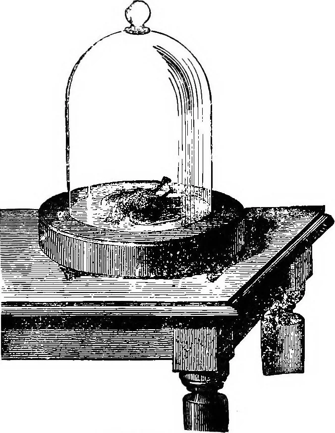 An illustration from Scientific amusements, 1890, leaf 222