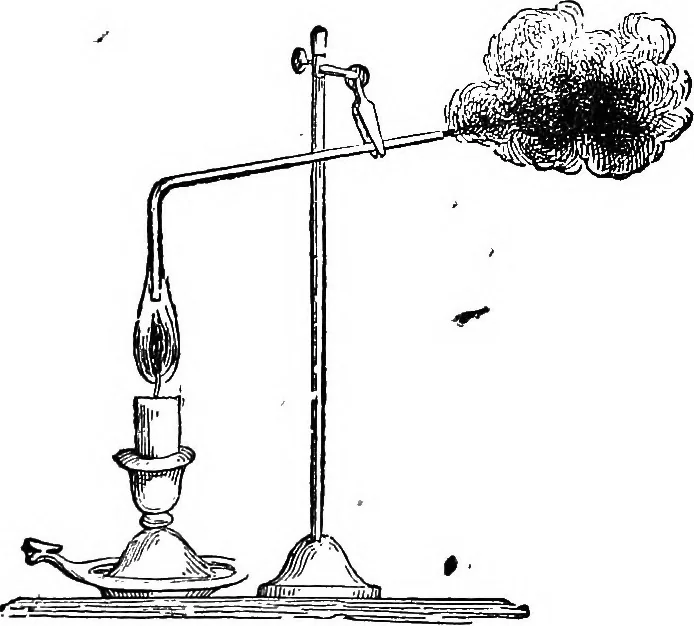 An illustration from Scientific amusements, 1890, leaf 228