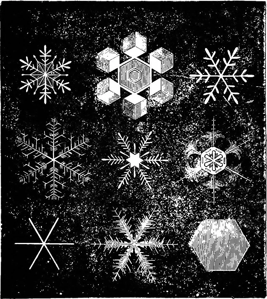 An illustration from Scientific amusements, 1890, leaf 244
