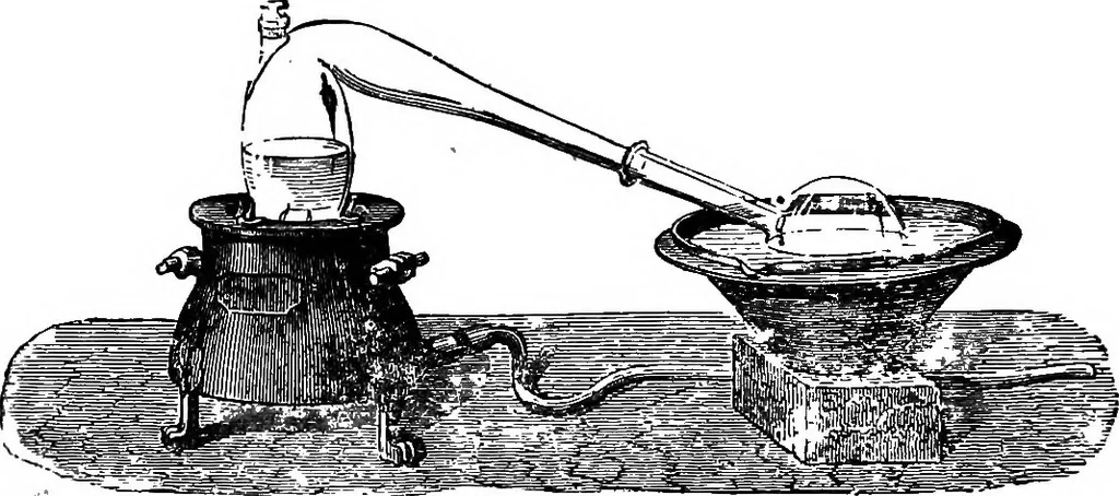 An illustration from Scientific amusements, 1890, leaf 245