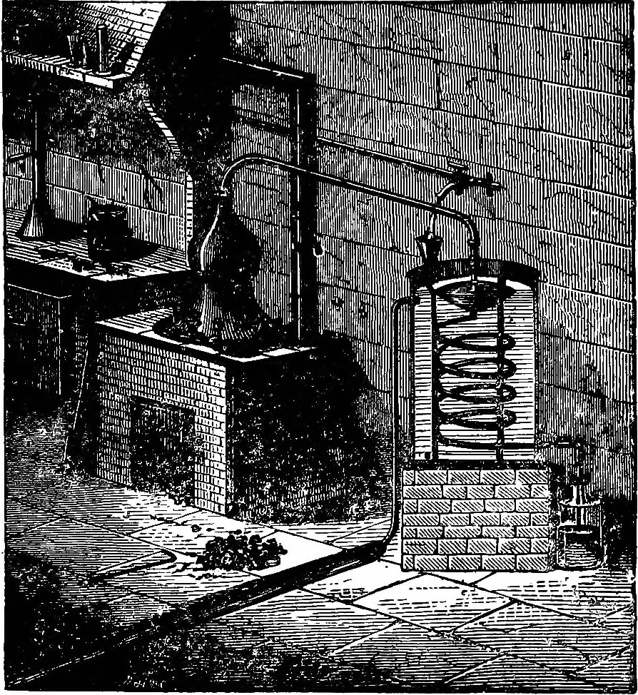 An illustration from Scientific amusements, 1890, leaf 246