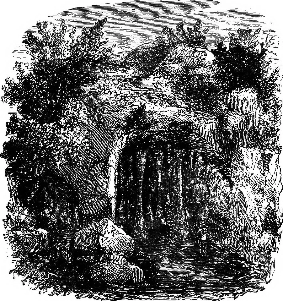 An illustration from Scientific amusements, 1890, leaf 247