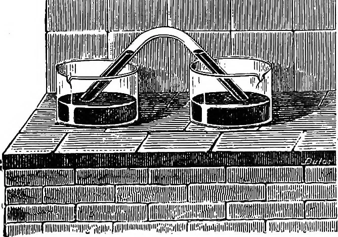 An illustration from Scientific amusements, 1890, leaf 252