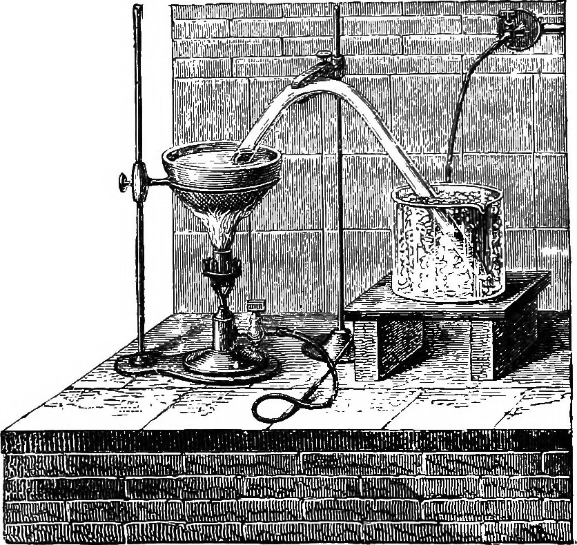 An illustration from Scientific amusements, 1890, leaf 255
