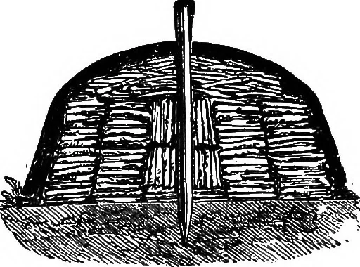 An illustration from Scientific amusements, 1890, leaf 266