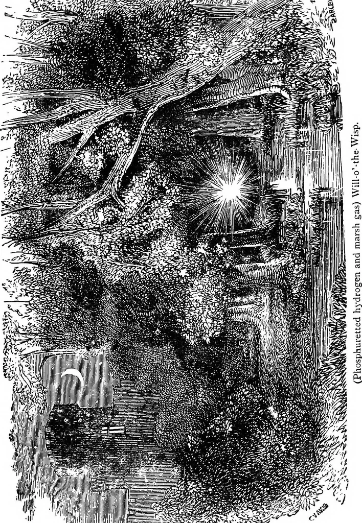 An illustration from Scientific amusements, 1890, leaf 284