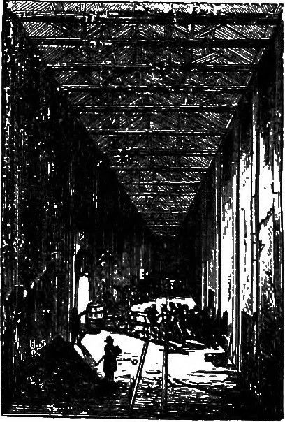 An illustration from Scientific amusements, 1890, leaf 287