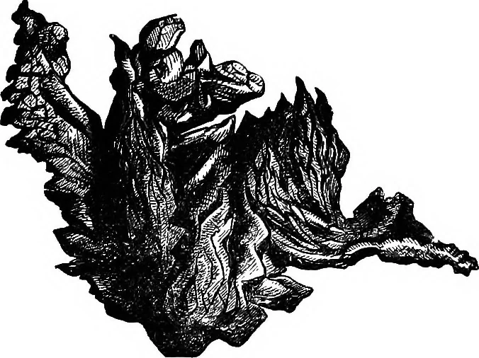 An illustration from Scientific amusements, 1890, leaf 312