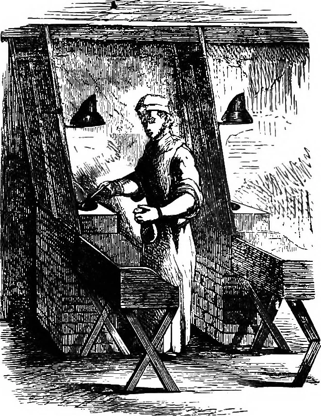 An illustration from Scientific amusements, 1890, leaf 317