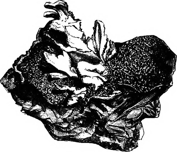 An illustration from Scientific amusements, 1890, leaf 322