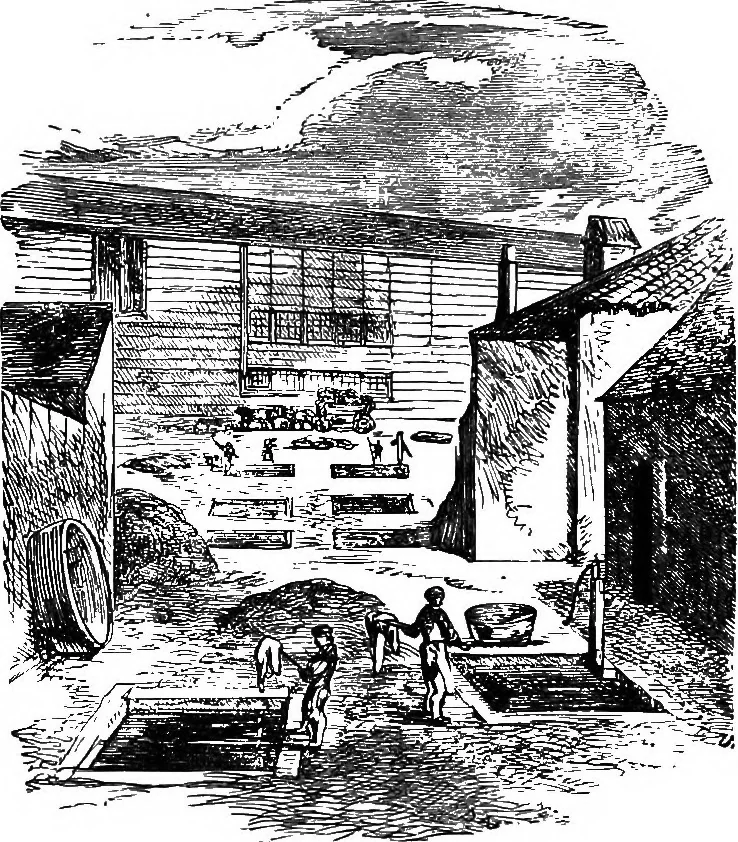 An illustration from Scientific amusements, 1890, leaf 333
