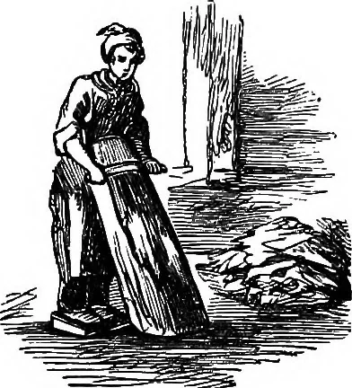 An illustration from Scientific amusements, 1890, leaf 334