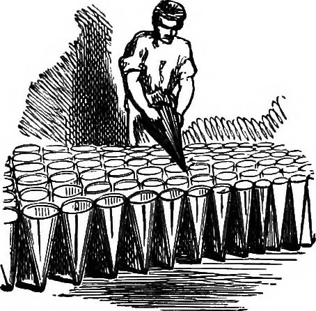 An illustration from Scientific amusements, 1890, leaf 341