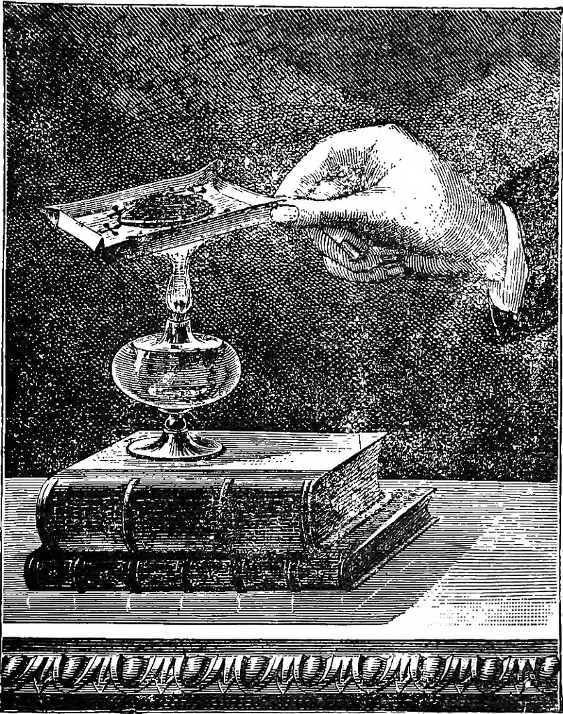 An illustration from Scientific amusements, 1890, leaf 364