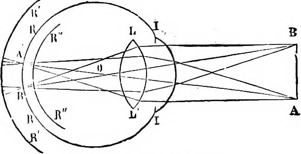An illustration from Scientific amusements, 1890, leaf 407