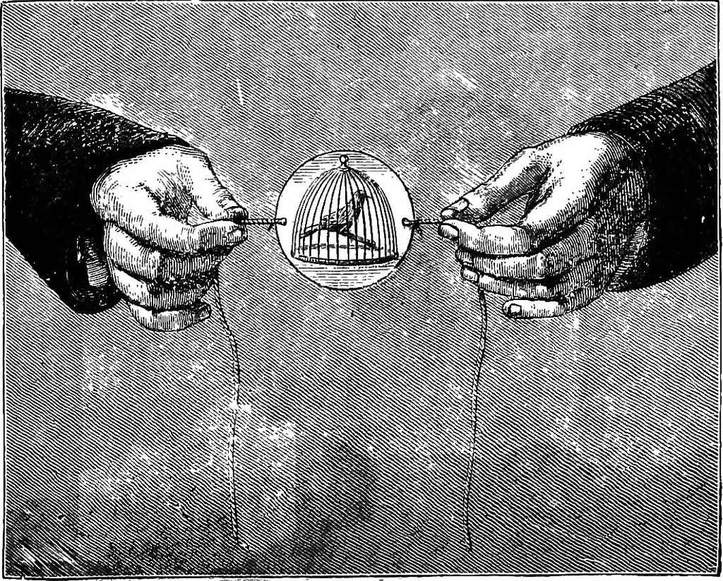An illustration from Scientific amusements, 1890, leaf 436