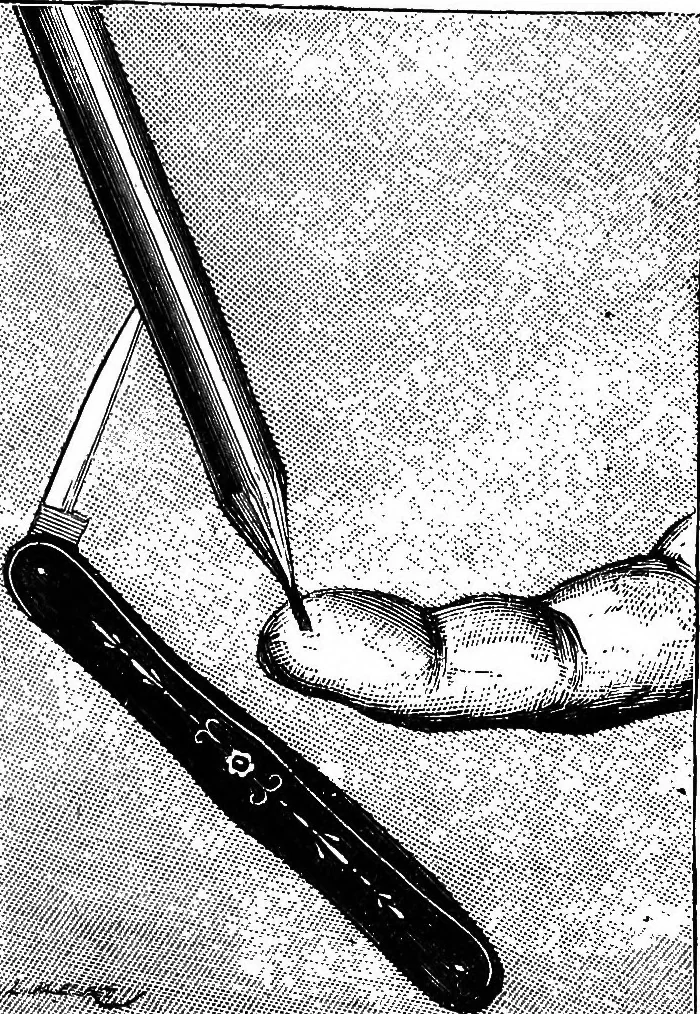 An illustration from Scientific amusements, 1890, leaf 46
