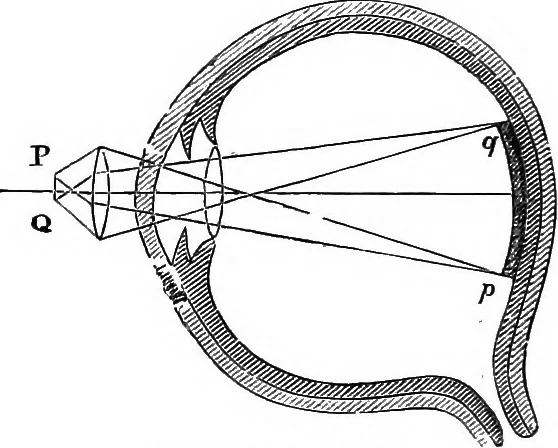 An illustration from Scientific amusements, 1890, leaf 479