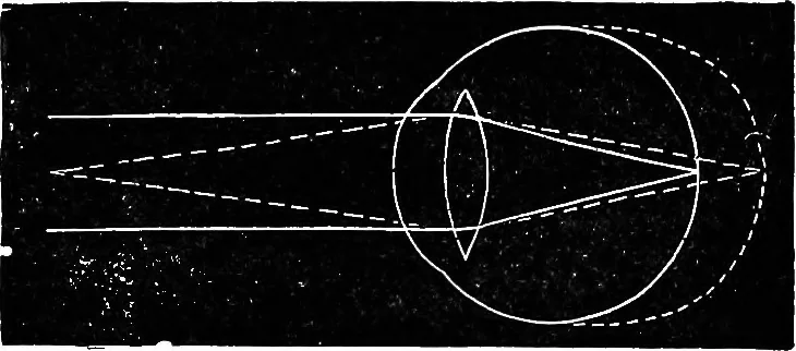 An illustration from Scientific amusements, 1890, leaf 482