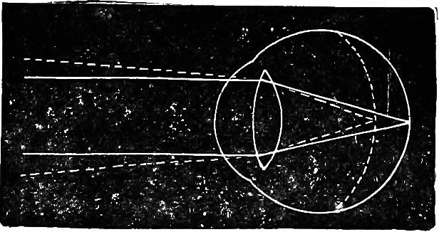 An illustration from Scientific amusements, 1890, leaf 482
