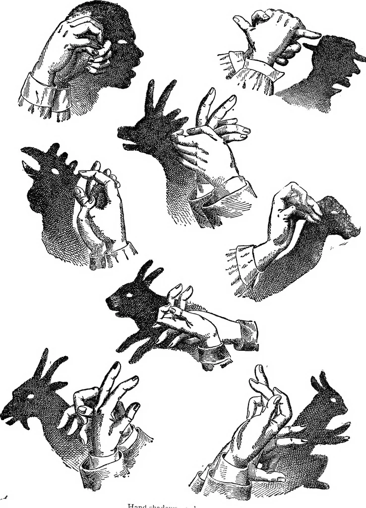 An illustration from Scientific amusements, 1890, leaf 494