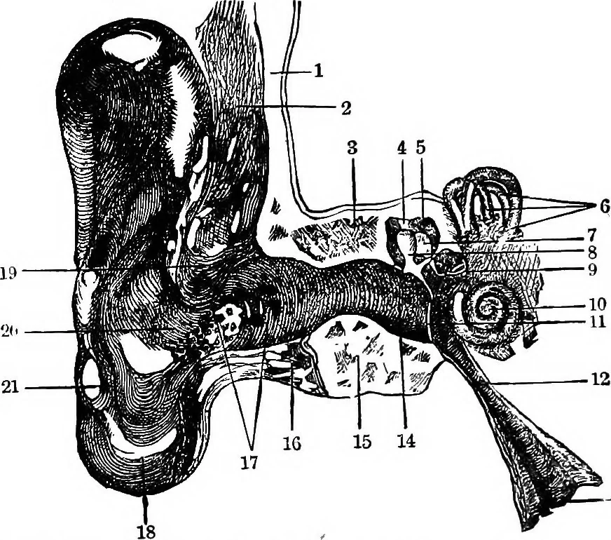 An illustration from Scientific amusements, 1890, leaf 507
